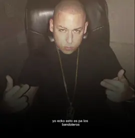 el debut del prínci en las grandes ligas 🤴🐐🤷 los bandoleros don Omar  . . . #cosculluela #ROTTWAILASINC #music  #elprincipe