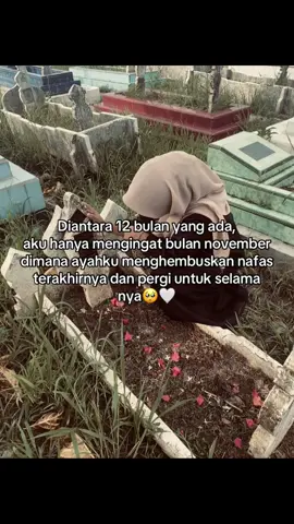 ga terasa udah 1tahun ya pakk🥹#fypp 