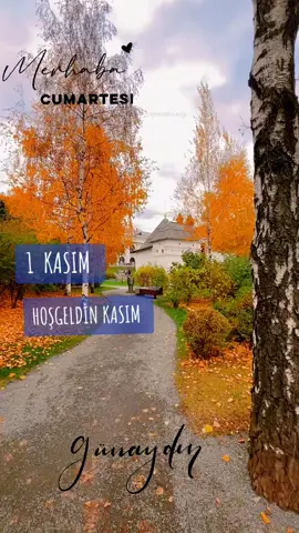 Yine Aylardan Kasım #günaydınlar #reels #manzara #kasım #günaydın 