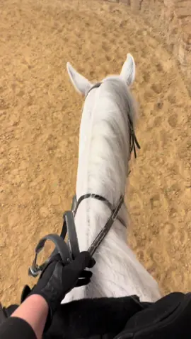 #خيل_وخياله🐎 #horse #therapy #الكويت #فروسية 
