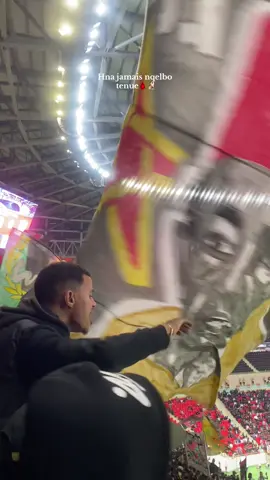 #asfar #curvache #ultras 