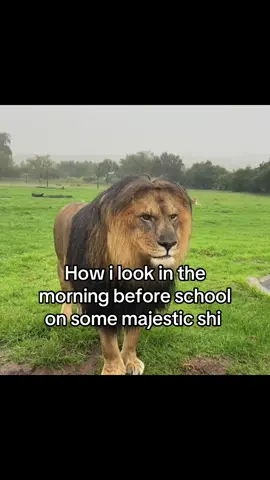 #Viral #fyp #relatable 