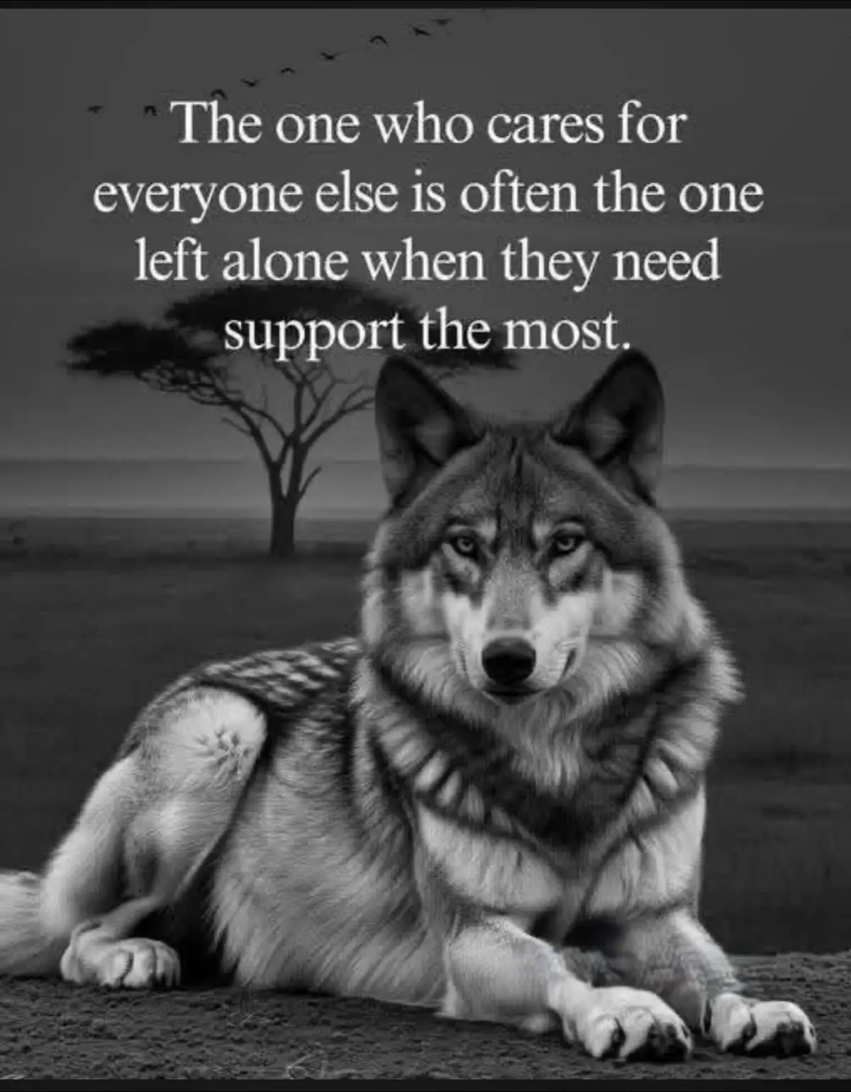 #❤️❤️❤️❤️🌹🌹🌹🌹☺️☺️☺️☺️☺️love 