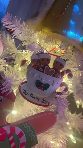 #christmas #santascoming #fyp 