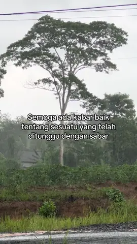 #palembangtiktok #palembangfyp #palembang #palembangpride 