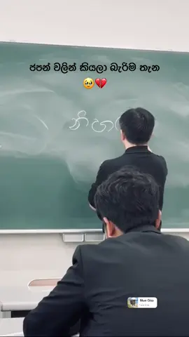 #srilanka #japan #nissa #foryou 