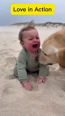 #rescue #rescuedog #tiktok #storytelling #unfreezemyaccount 