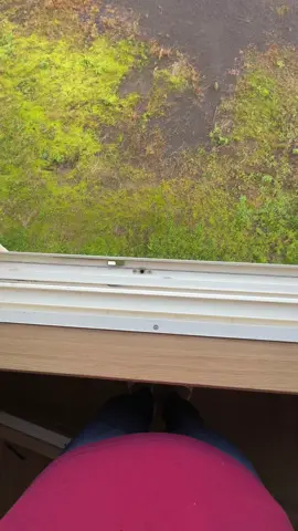 Woow🌈 #kenshuuseijapan🇮🇩🇯🇵 #japanvibes #pedesaan #magangjepang #4u 