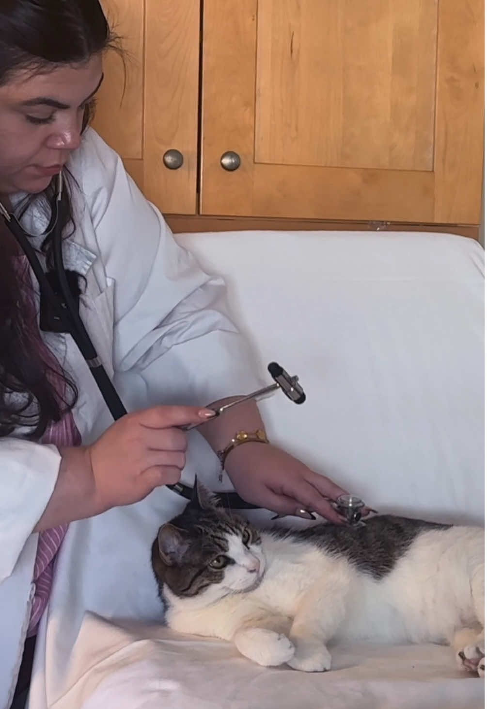The most relaxing Unintentional Medical ASMR you’ve ever seen #asmr #unintentionalasmr #asmrtingles #cat #halloween #asmrsounds #asmrvideo #asmrtiktoks #asmrtiktok #asmr_tingles #asmrroleplay #asmrtriggers #catsoftiktok #cats #cattok #catmom #halloweencat 