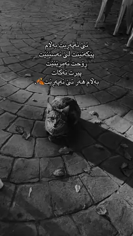 #fyp #foryou #foryoupage #لایک بە پارە نیە 😂❤️🌚