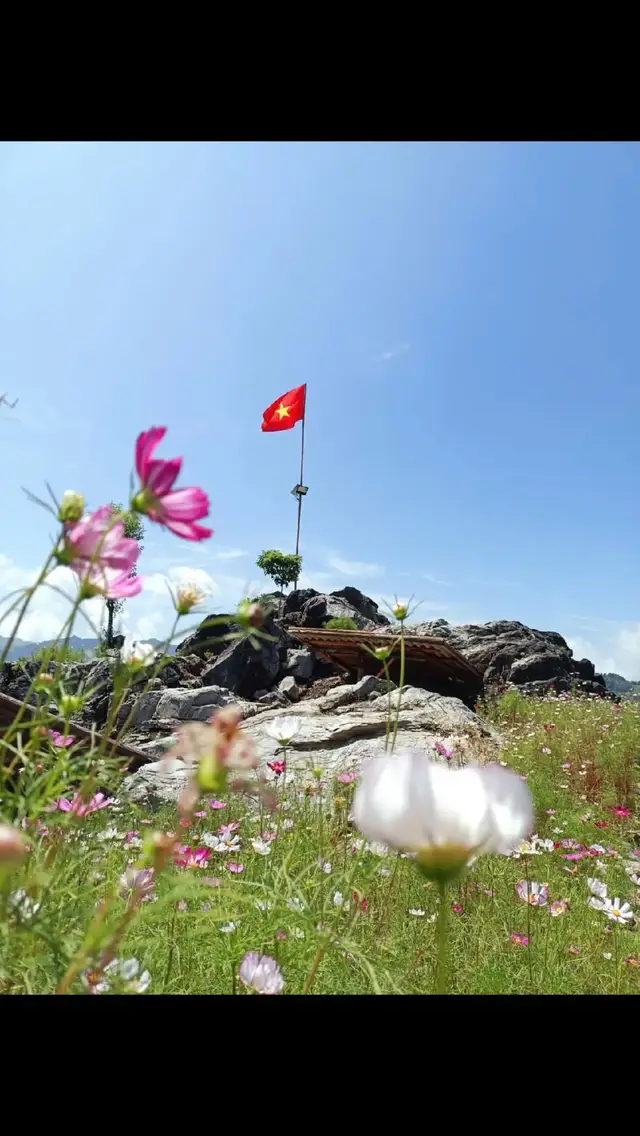 Chào tháng 11/2025♥️♥️♥️