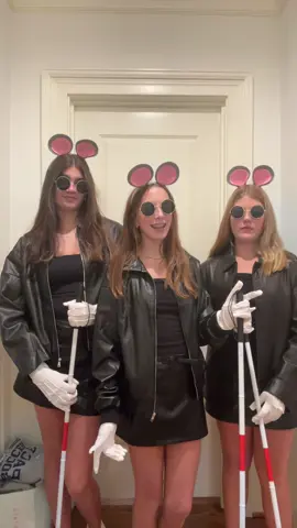 Three Blind Mice!!!🐭 