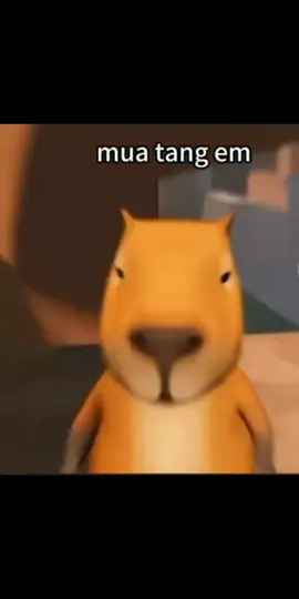 #Meme #MemeCut #CapCut 