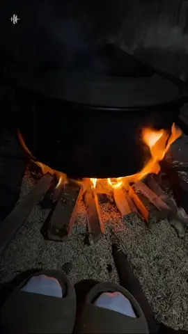 Hờiiiii ơiiii..... #nhachaymoingay #tet #tet2026 #xuhuong #thanhthoiluottet 