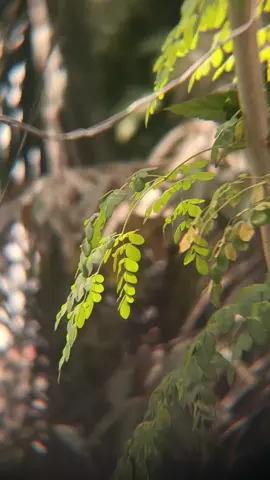 🙁 #quotes #katakata #selfreminder #quotesislami #ihsannurfauzi__ 