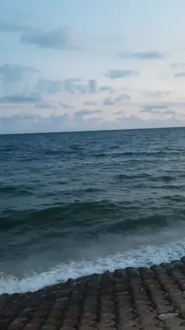 #LearnOnTikTok #meme #funny #funnyvideos #foryouu #fyp