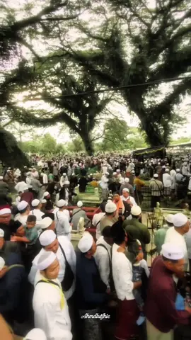 bertamu untuk bertemu dan menyampaikan rindu🤍🥺 #fyp #haulmalang2025 #darulhadistmalang 