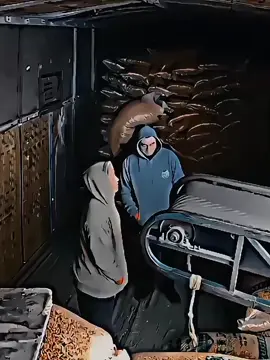 When the mind works in conjunction with experience, it becomes a very dangerous force..#Intelligence #puzzle #fyp #foryoupage #viral 