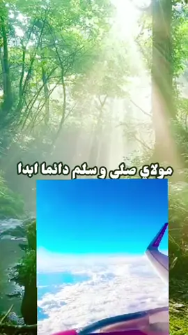 #مشاھدات #تيك_توك #قرأن 