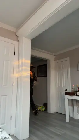 #fyp #CatchMe #flighsociety #viral #Comedy 