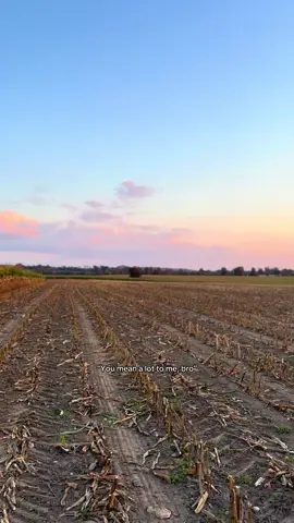 #fyp #viral #motocross #sunset #yz250f 