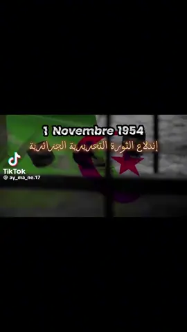 ذكرى اندلاع أعظم ثورة في التاريخ المعاصر..تحيا الجزائر 🇩🇿🇩🇿  #فرنسا🇨🇵_بلجيكا🇧🇪_المانيا🇩🇪_اسبانيا🇪🇸 #شلفاوة_والحلاوة🔥 #الشعب_الصيني_ماله_حل😂😂 #الجزائر_تونس_المغرب #foryoupage❤️❤️ 