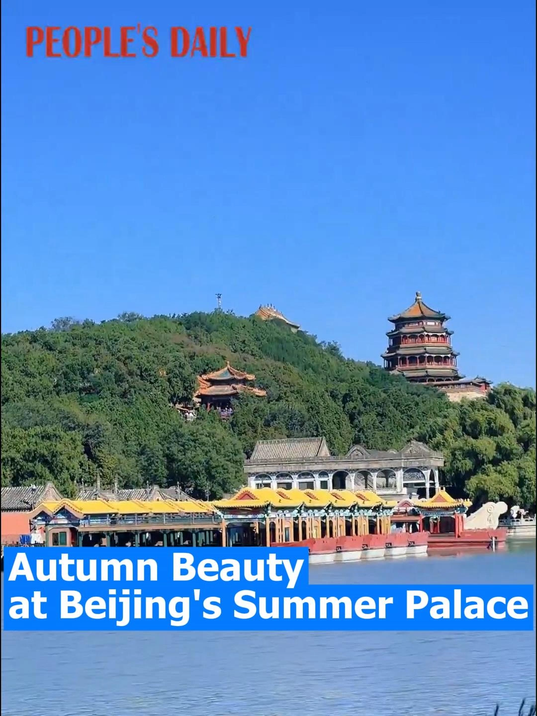 Can you imagine being surrounded by golden leaves and ancient architecture? 🍂🏯 That's autumn at the Summer Palace in Beijing, China— a UNESCO World Heritage Site. Every corner looks like a living painting. 🎨💛 #SummerPalace #Beijing #ChinaTravel #UNESCO #AutumnVibes