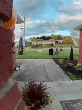 Hey. look. it's Poison Ivy! She's itching to go Trick or Treat! Hahaha @Olivia 💃 