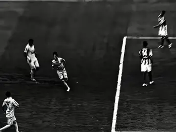 نــيـــمـــــــو🇧🇷