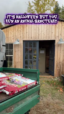 Happy Halloween!! 🎃 #animalrescue #animalsanctuary #animals #halloween 