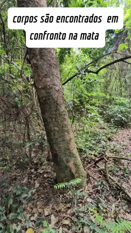 #RioDeJaneiroHoje #NotíciaUrgente #ÚltimaHoraRJ #AconteceuNoRio #OperaçãoRJ 