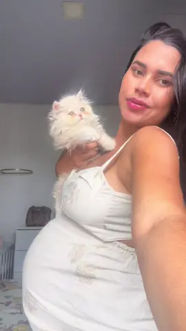 Meu ursinho ❤️ #gatopersa #vaiprofy