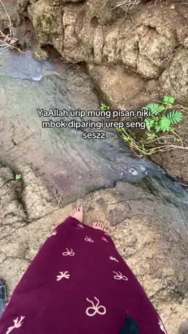 Lagi nandur langsung panen yaAllah🙂