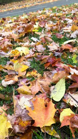 #🇦🇫 #🇨🇦 #🇦🇪 #