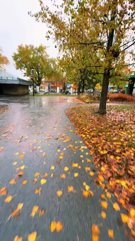 #canada_life🇨🇦 #quebec #canada🇨🇦 #montreal #nature 