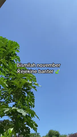 #rejekitakpernahtertukar #storywa #motivation #fyp 