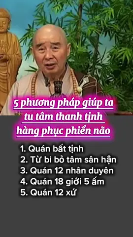 5 phương pháp giúp ta tu tâm thanh tịnh , hàng phục phiền não #truongthilananh #nammodiatangvuongbotat #kinhvoluongtho #thichtinhkhong #phapsuthichtinhkhong