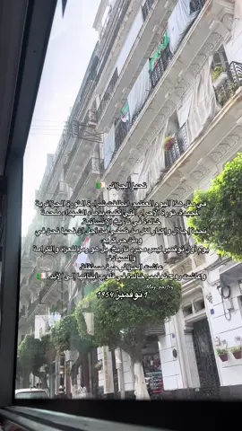 #algeria #1november #algerie🇩🇿 #1نوفمبر1954_وتحياا_الجزائر #fyp 