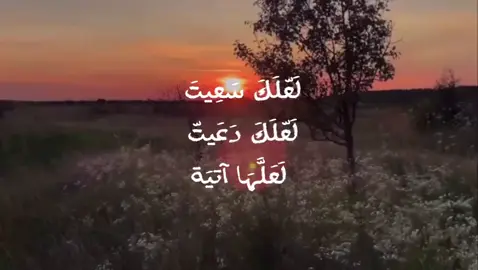 السبت 1 نوفمبر 2025 ❤ #قران_كريم #قران #السعودية #مصر🇪🇬 #الدول_العربيه 