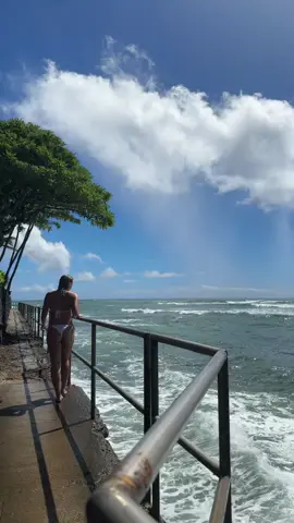 A chill halloween 🎃  #hawaii #oahu