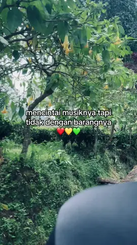 ❤️💛💚 #bungaterompet #foryoupage#yoman #fypege#masukberanda