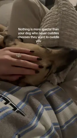 I’m gonna cry #doglover #dogsoftiktok 