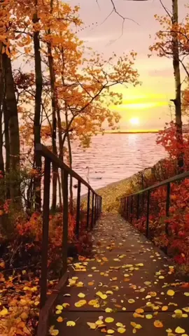 #welcomenovember  #bulanbarusemangatbaru  #sabtu  #selamatpagisemua  #forryou 