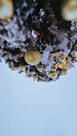 Đà Lạt xuất hiện một thị trấn tuyết thật đó nha các bạn các bạn đi đồn đi nha…. 📍 Thị Trấn Tuyết ( 3Bis - Đống Đa - Đà Lạt ) ##dalatreviewtravel##latnoitravel##thitrantuyet