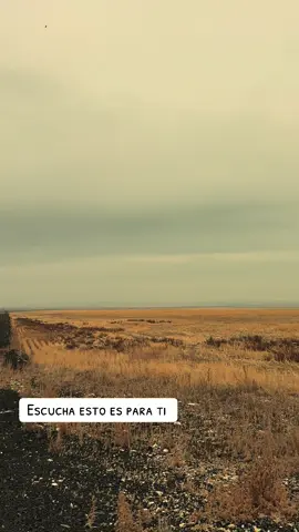 #viviralmaxi #animo #bendiciones #amorpropio #amor 