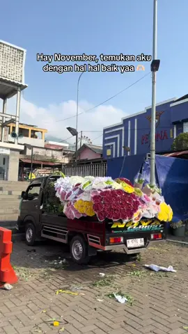 November full bahagia, full rezeki, full sehat 🥰 Nova Florist  (BAKUL KEMBANG)  Supplier Bunga Segar Sumowono Bandungan Since 2001 Menyediakan berbagai macam jenis bunga segar, bunga mawar bunga krisan dan lain lain.  Siap kirim sampai tujuan  Info Pemesanan 081225780103 #novafloristbandungan  #pasarbungabandungan  #bakulkembang  #freshflowers💐  #fyppppppppppppppppppppppp 