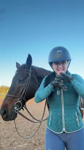 Happy Halloween 🎃 #horse #equestrian 