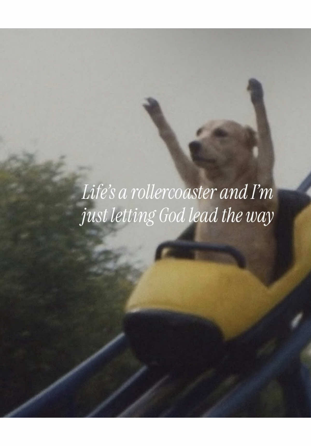 entertaining ig #viral #fyp #scary #funny #foryou 