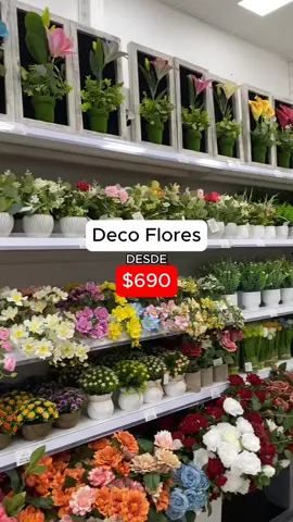 Deco Flores desde $690 visítanos en nuestra tienda 📍Av Vitacura 8400 Comuna Vitacura . . #foryou #mall #paratii #decohogar