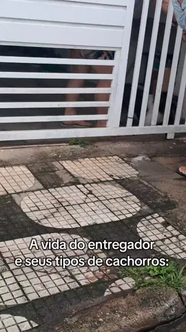 Dois tipos de Doguinhos que encontramos nessa vida de Entregadores KKKKKKKK #entrega #dog #cachorro #entregadores #vidadeentregador @Rafael Ribeiro 